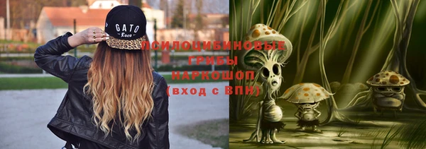 гашик Баксан