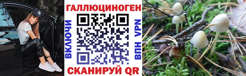 Галлюциногенные грибы ЛСД Зверево