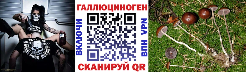Псилоцибиновые грибы MAGIC MUSHROOMS  Зверево 